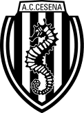 تشيزينا تحت 19